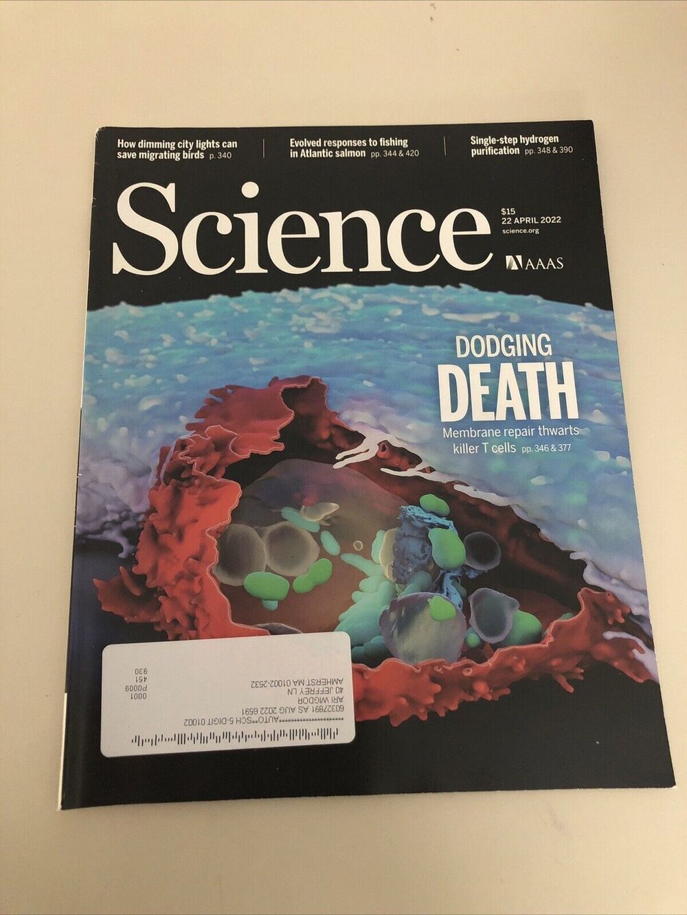 AAAS Science Magazine Vol 376 No 6593 22 April 2022 AI Sunscreen Reef Inhabitant